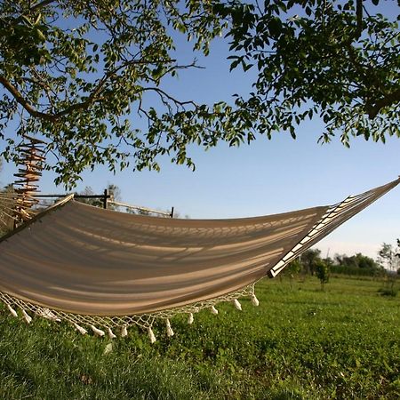 Bed and Breakfast I Fichi Bianchi Кутрофьяно Экстерьер фото